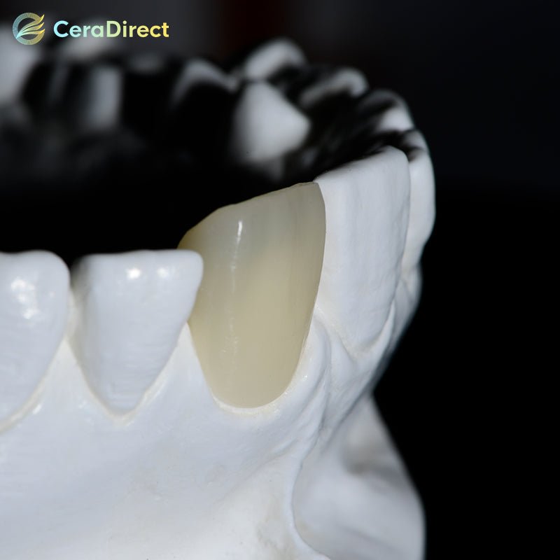 SHT+Color—Preshaded Zirconia Disc Open System (98mm) - CeraDirect