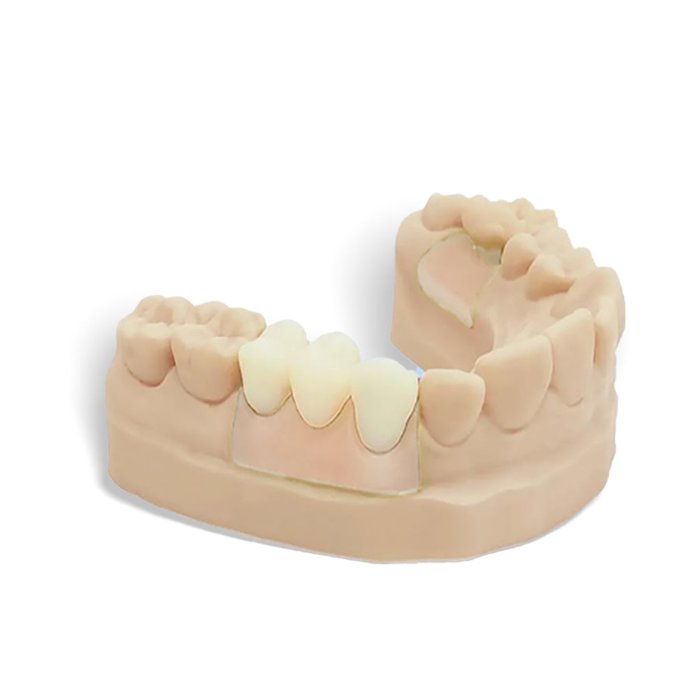 3D Printer Permanent CROWN Resin（500g）